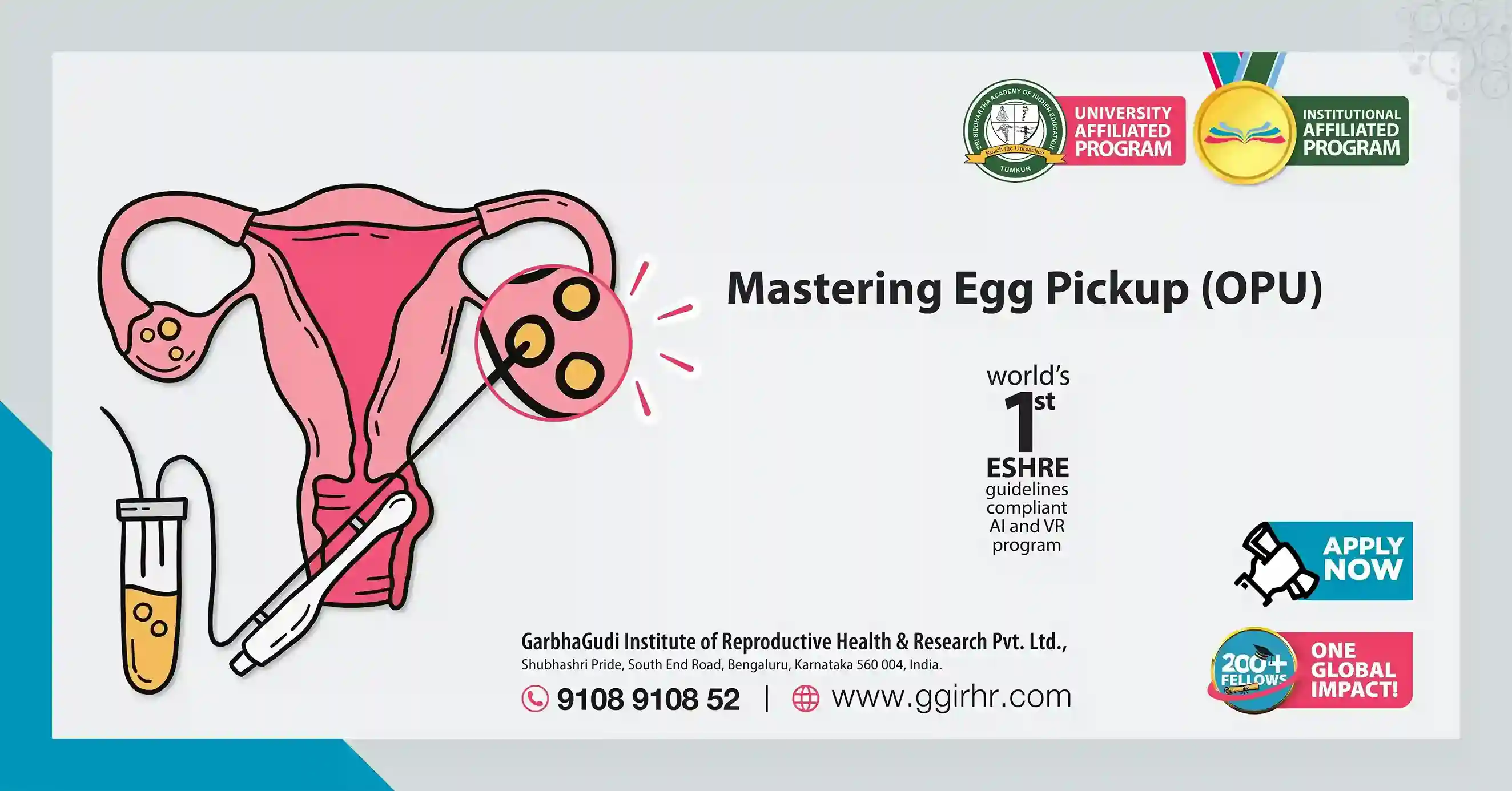 Mastering Egg Pick UP